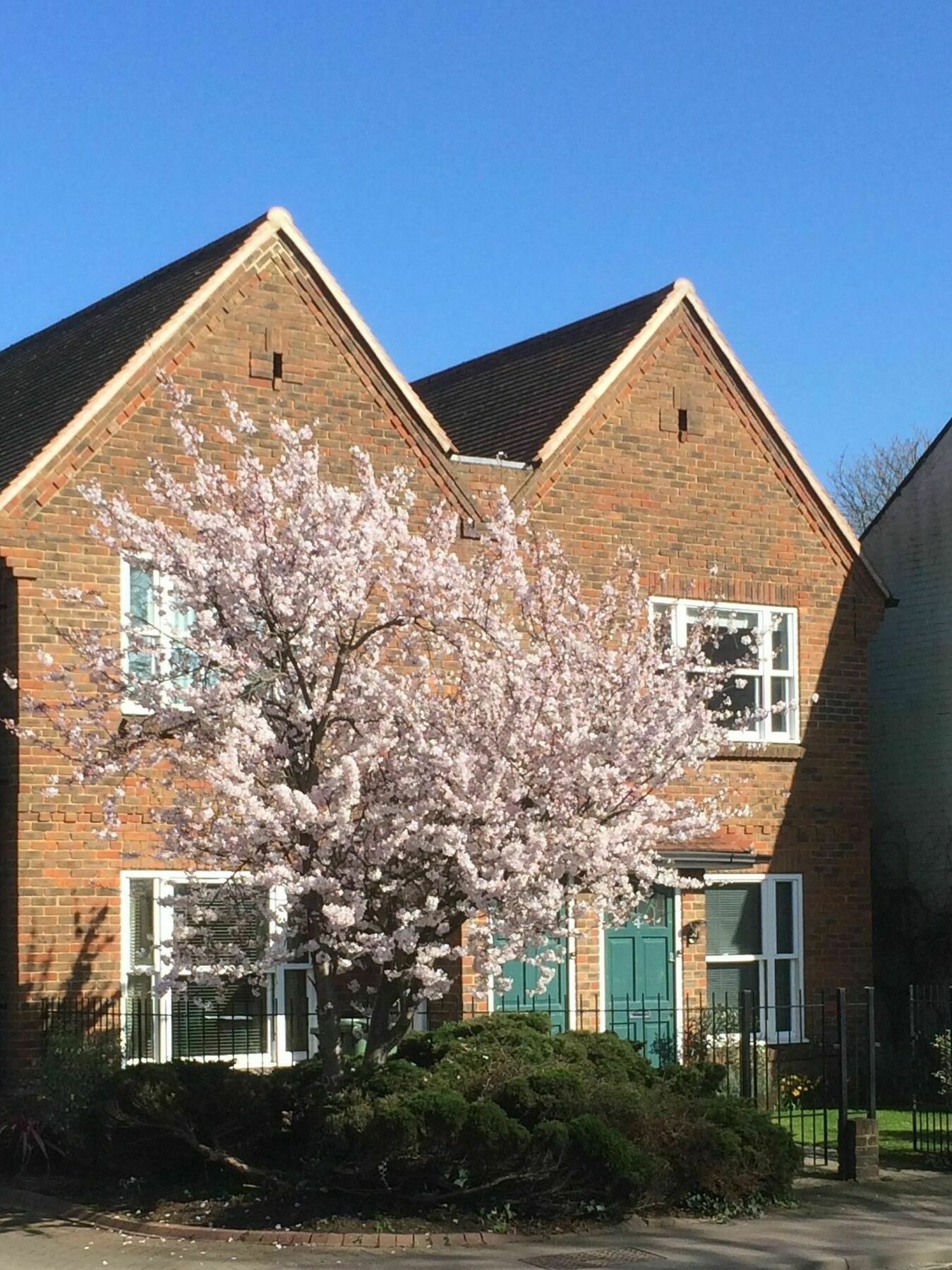 3 Summertown Court Oxford Exterior photo